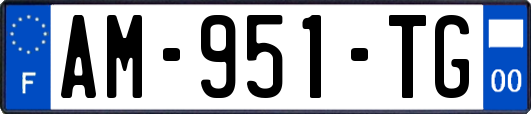 AM-951-TG