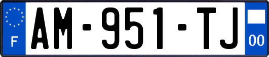 AM-951-TJ