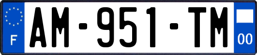 AM-951-TM