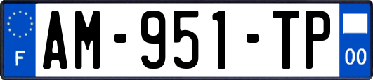 AM-951-TP