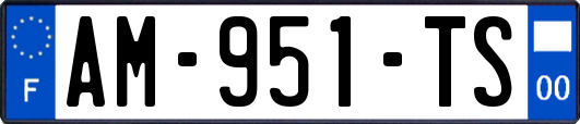 AM-951-TS