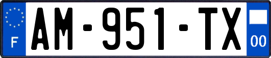 AM-951-TX
