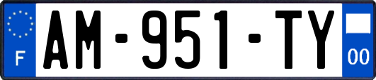 AM-951-TY