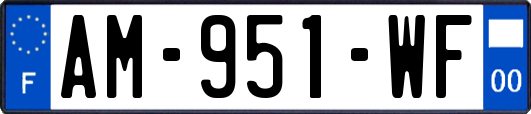 AM-951-WF