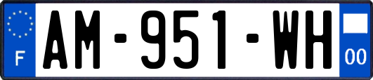 AM-951-WH