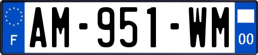 AM-951-WM