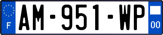AM-951-WP