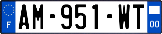 AM-951-WT