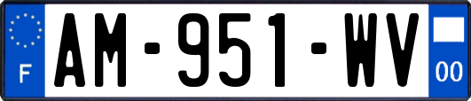 AM-951-WV