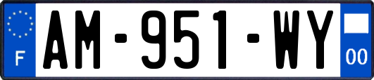 AM-951-WY