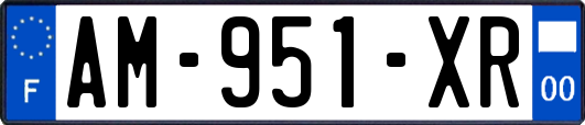 AM-951-XR
