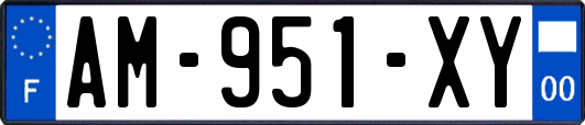 AM-951-XY