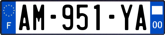 AM-951-YA