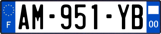 AM-951-YB