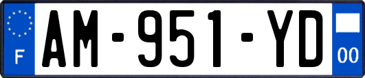 AM-951-YD