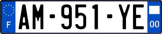 AM-951-YE
