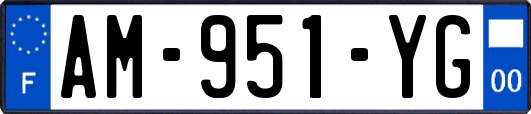 AM-951-YG