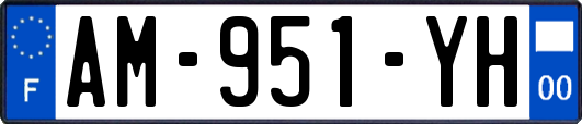 AM-951-YH