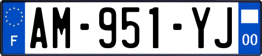 AM-951-YJ