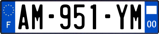 AM-951-YM