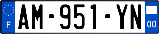 AM-951-YN