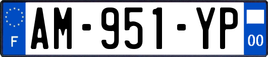 AM-951-YP