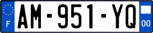 AM-951-YQ