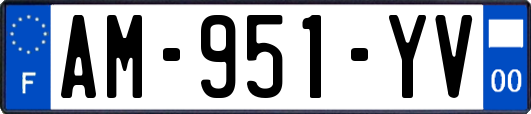 AM-951-YV