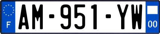 AM-951-YW
