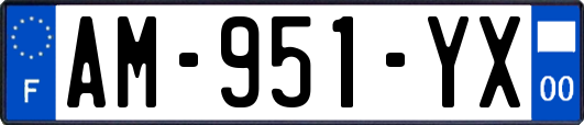 AM-951-YX