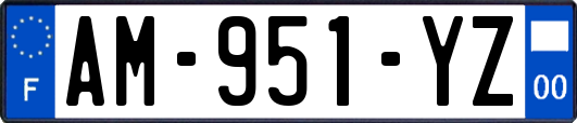AM-951-YZ