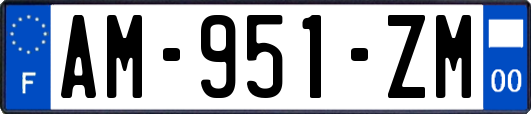 AM-951-ZM