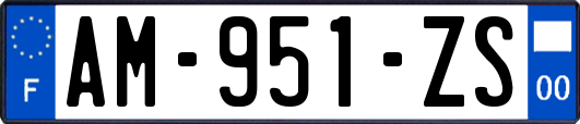 AM-951-ZS