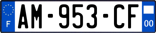 AM-953-CF