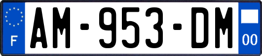 AM-953-DM