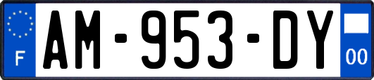 AM-953-DY