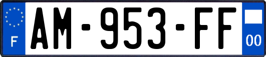 AM-953-FF
