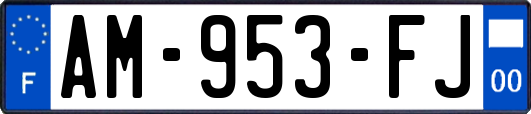 AM-953-FJ
