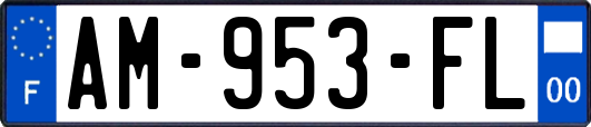 AM-953-FL