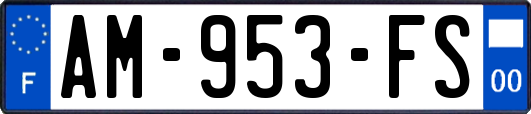 AM-953-FS