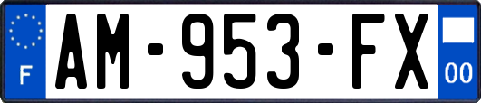 AM-953-FX