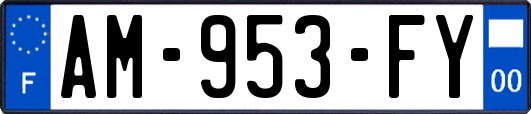 AM-953-FY