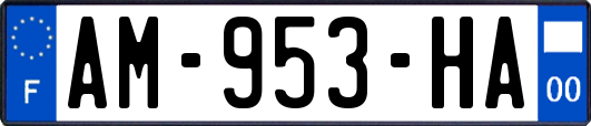 AM-953-HA