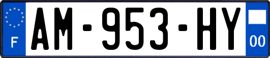 AM-953-HY