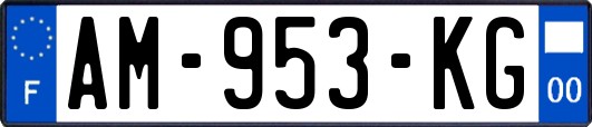 AM-953-KG