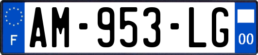 AM-953-LG