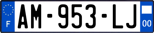 AM-953-LJ