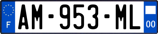 AM-953-ML