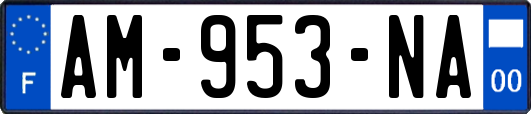 AM-953-NA