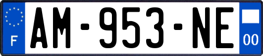 AM-953-NE